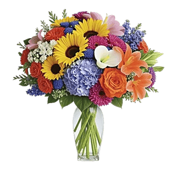 Ivory Blossom Radiance