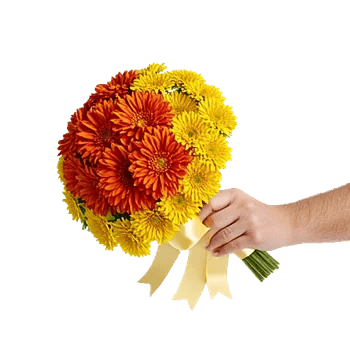 Radiant Bloom Cascade