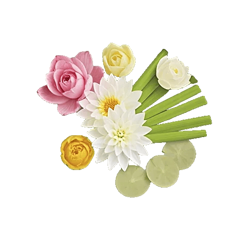 Ivory Blossom Radiance