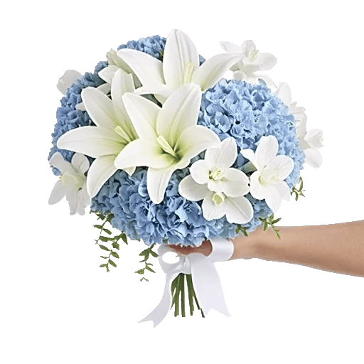 Elegant Calla Lilies