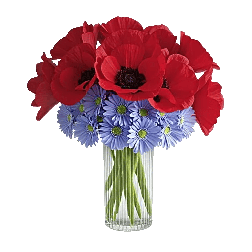 Petal Radiance Bliss