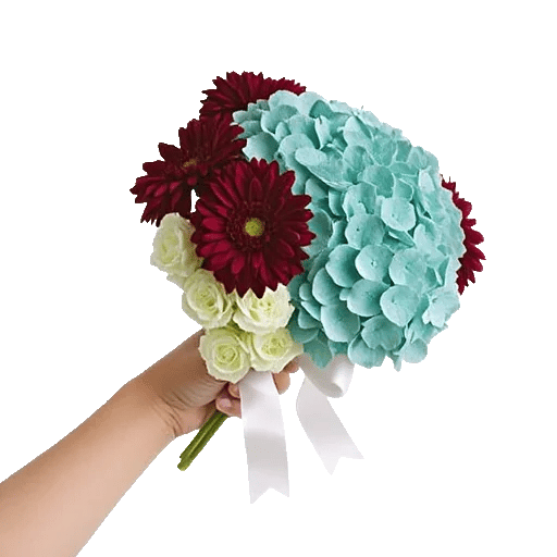 Serene Petal Harmony