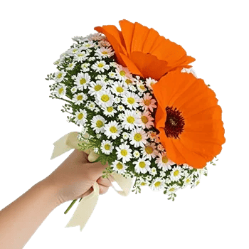 Petal Harmony Bliss