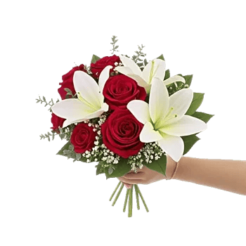 Crimson Rose Elegance