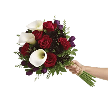 Elegant Calla Lilies