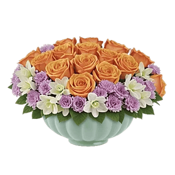 Pastel Pink Roses