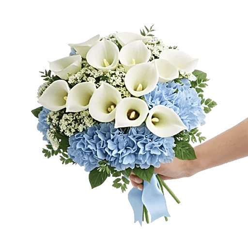 Elegant Calla Lilies