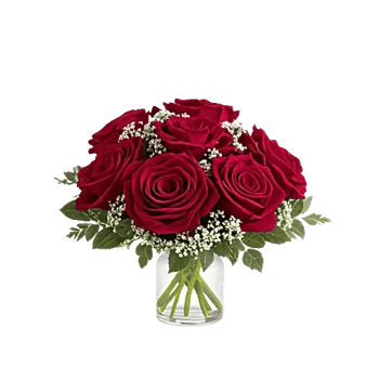 Crimson Rose Elegance