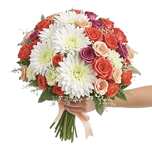 Blushing Rose Symphony