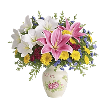 Serenity Orchid Bloom