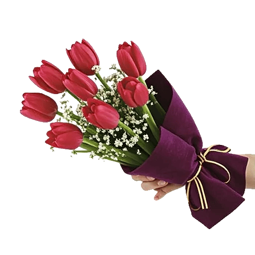 Velvet Tulip Display