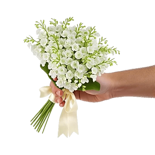 Ivory Blossom Radiance