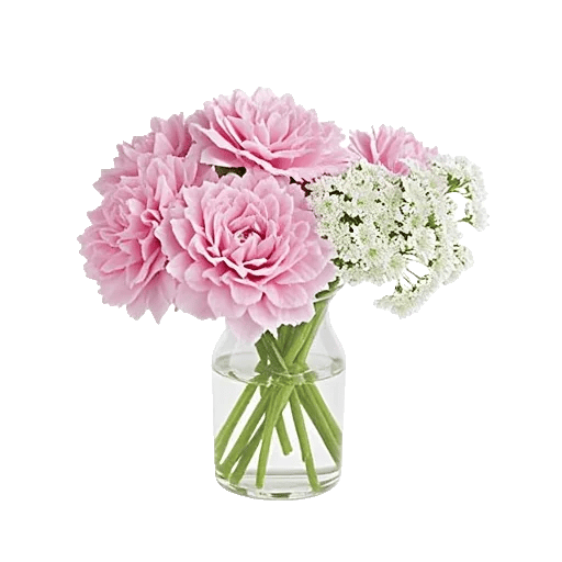 Pink Pastel Roses