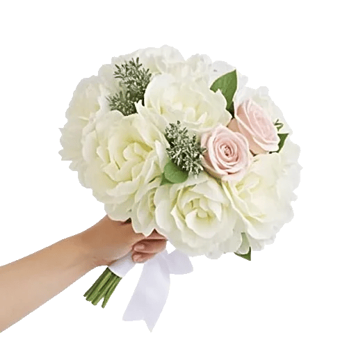 Serene Petal Harmony