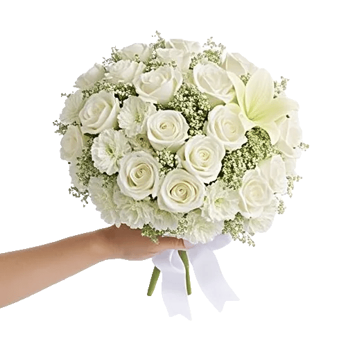 Ivory Garden Grace