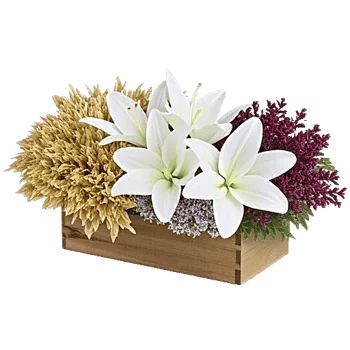 Frosted Lily Spread