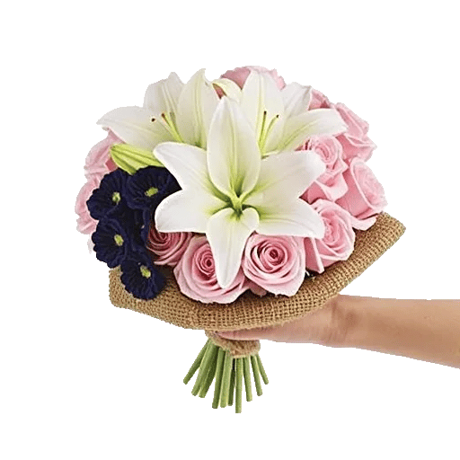 Blushing Rose Symphony