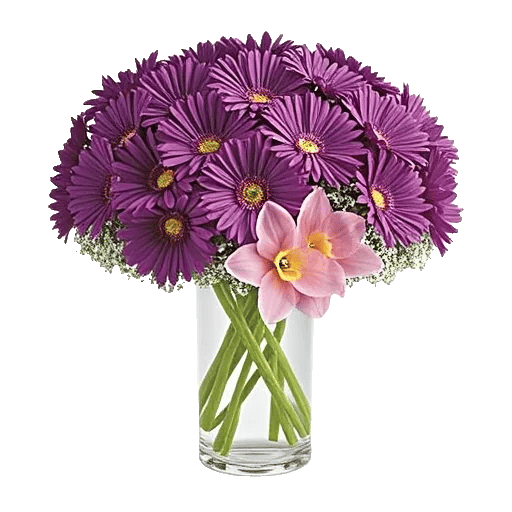 Delicate Petal Cascade