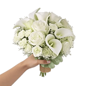 Ivory Garden Grace