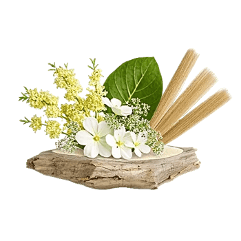 Delicate Petal Cascade