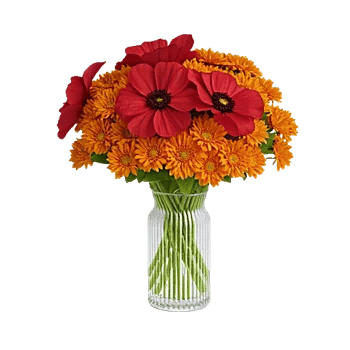 Petal Radiance Bliss