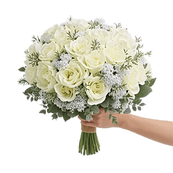 Ivory Garden Grace