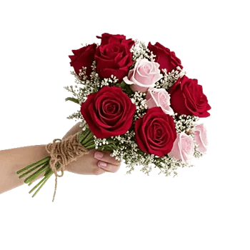 Crimson Rose Elegance