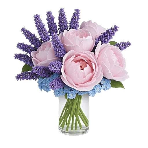 Lavender Bloom Grace