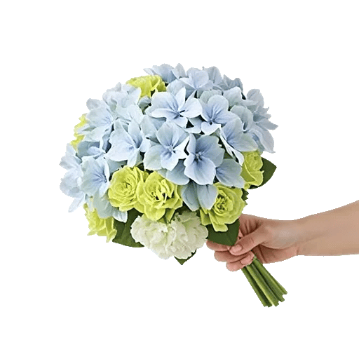 Serene Petal Harmony