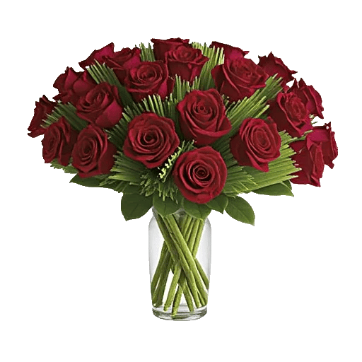Crimson Rose Elegance