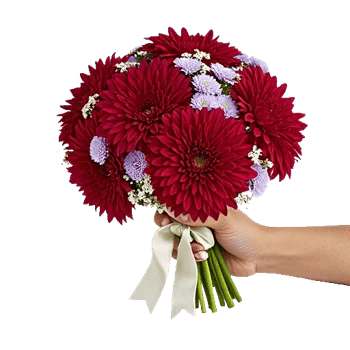 Crimson Blossom Harmony