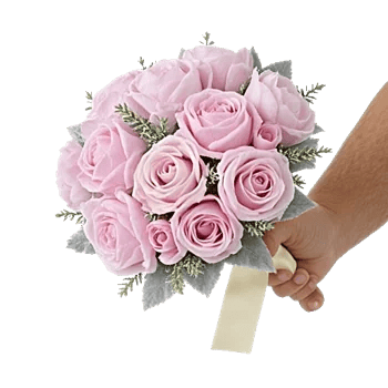 Pastel Pink Roses