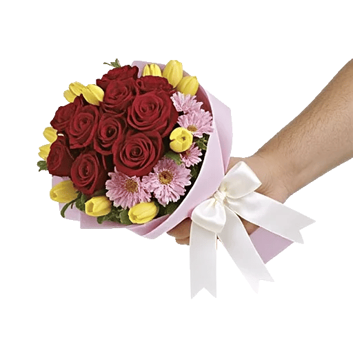 Crimson Rose Elegance