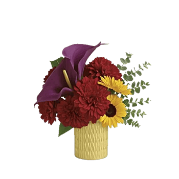 Elegant Calla Lilies