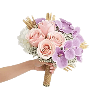 Pastel Pink Roses