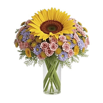 Golden Petal Harmony