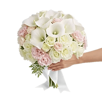 Delicate Petal Cascade
