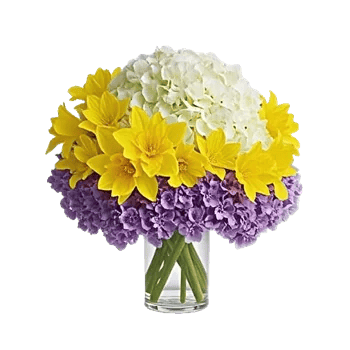 Ivory Blossom Radiance