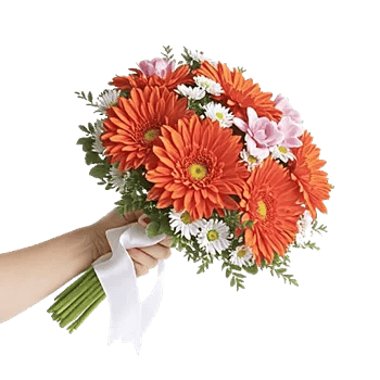 Petal Harmony Bliss
