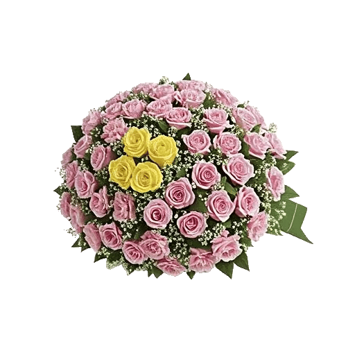 Radiant Rose Symphony