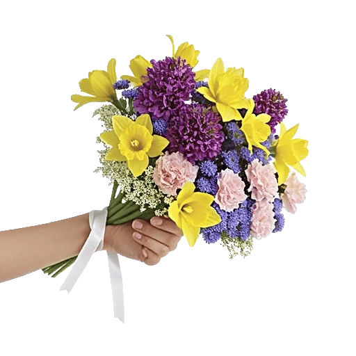 Blossom Harmony Display