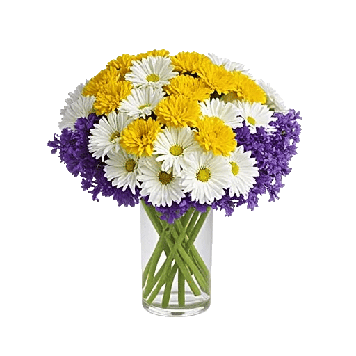 Petal Radiance Bliss