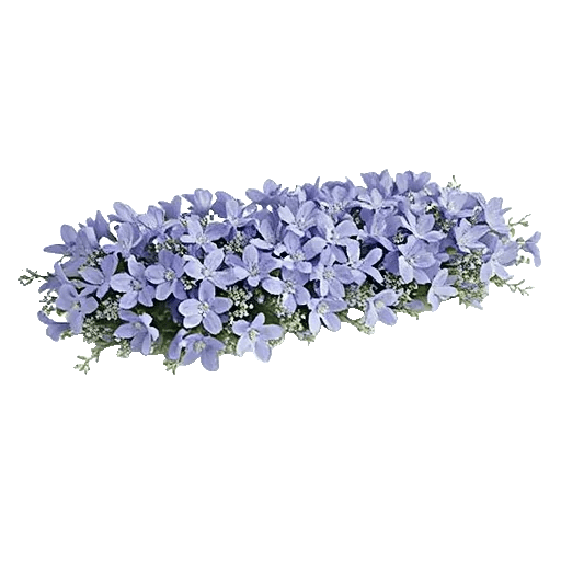 Delicate Petal Cascade