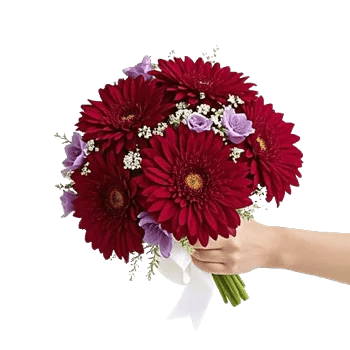 Crimson Blossom Harmony
