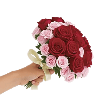 Blushing Rose Symphony