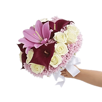 Elegant Calla Lilies