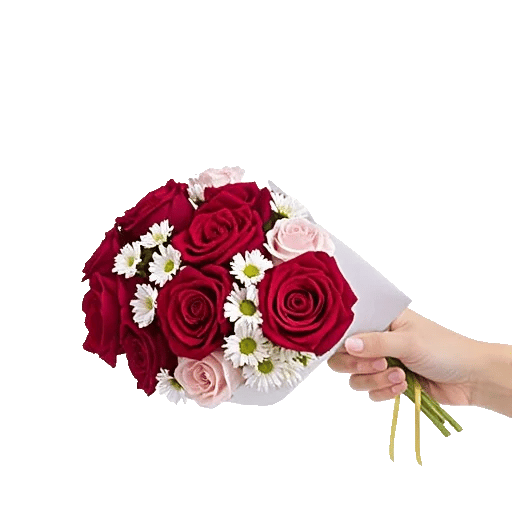 Crimson Rose Elegance