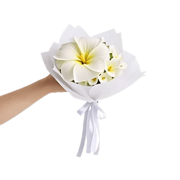 Modern White Orchids