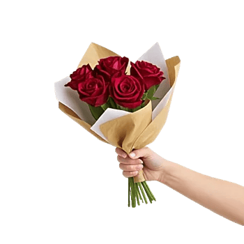 Crimson Rose Elegance