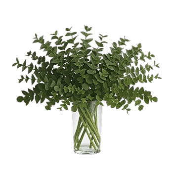 Emerald Bloom Cascade